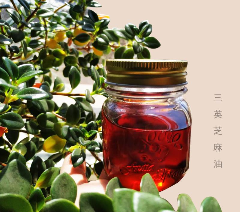 純正芝麻香油 沈陽(yáng)廠(chǎng)家低價(jià)現貨芝麻油